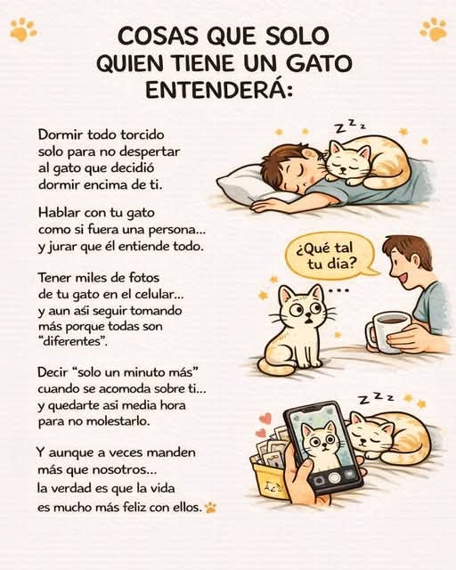 Manu Saenz💛💛 tweet media