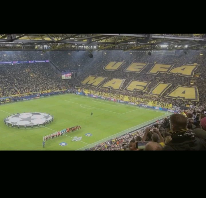 Ciotola Rosario tweet media