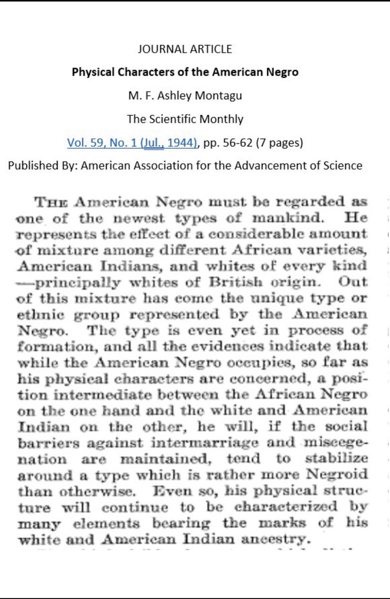 The Union of Black America tweet media