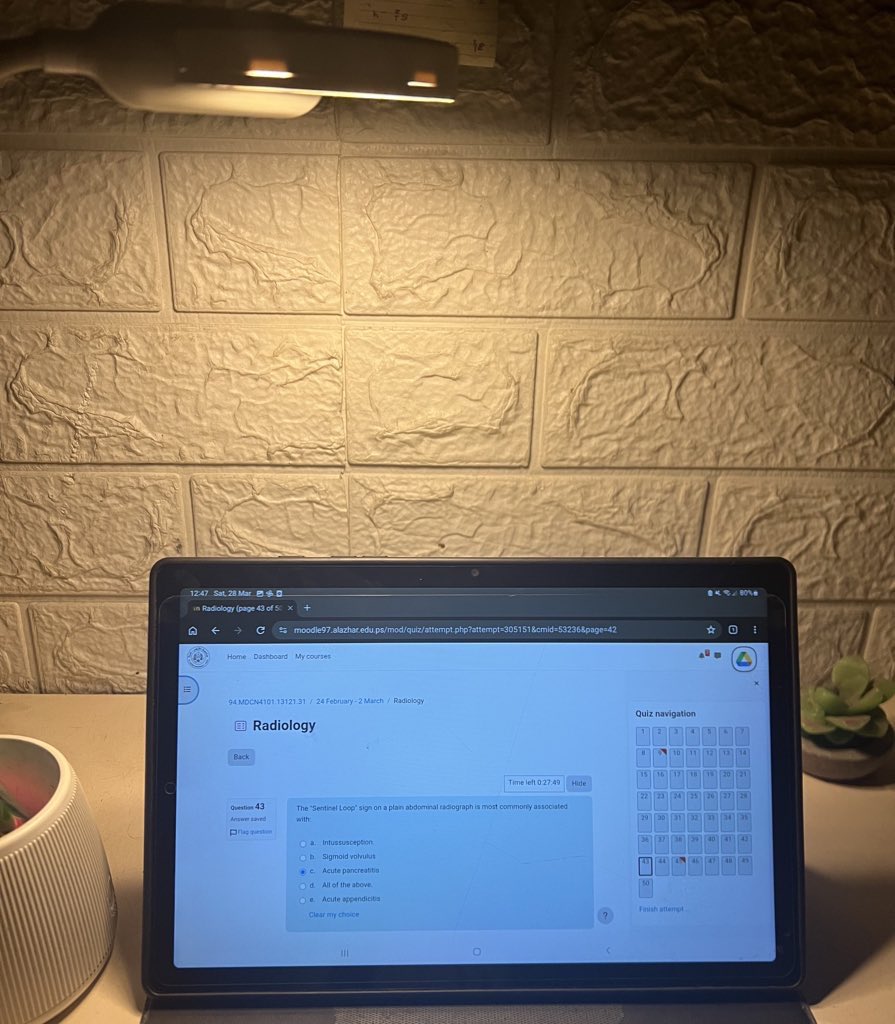 Dr. Alaa in Gaza 🇵🇸 tweet media