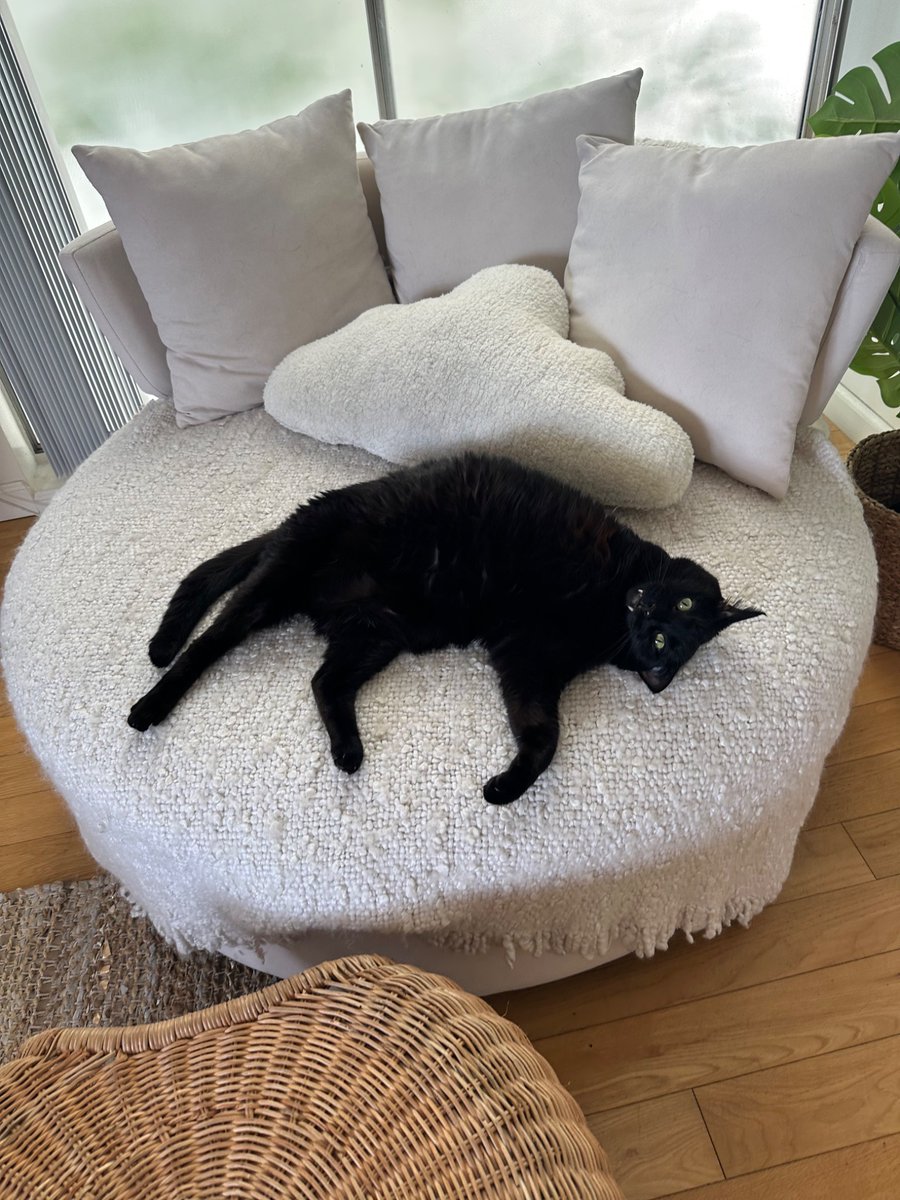 roberto updates 🇵🇸 tweet media