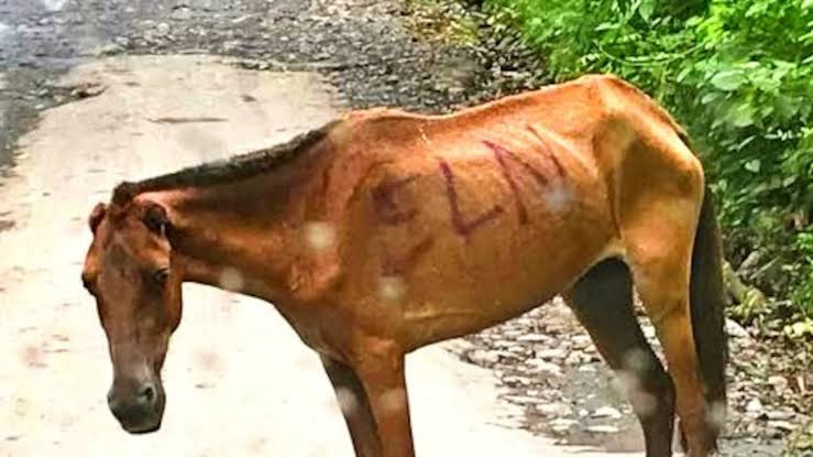 MuyEnojado 🚨 tweet media