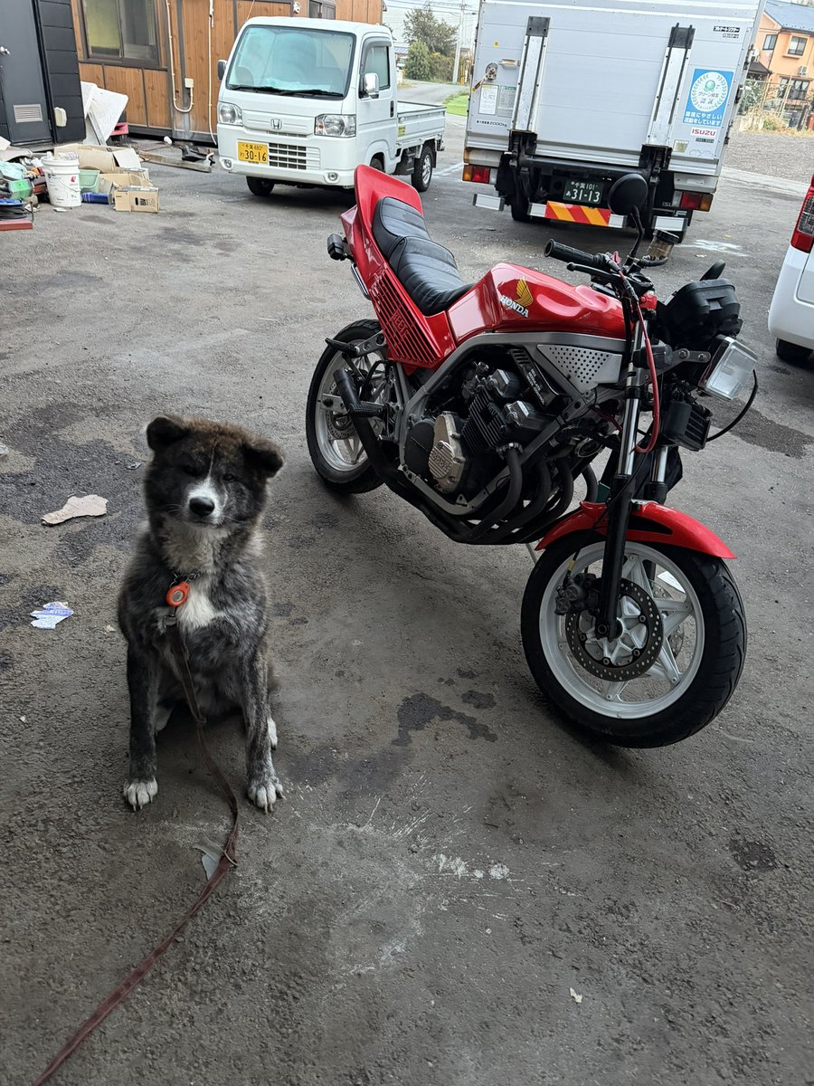 たかちゃん tweet media