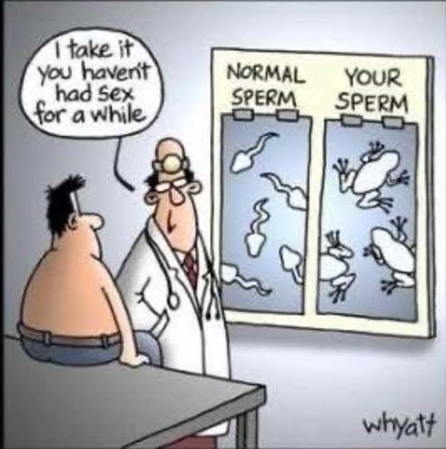 allcanadianmom tweet media