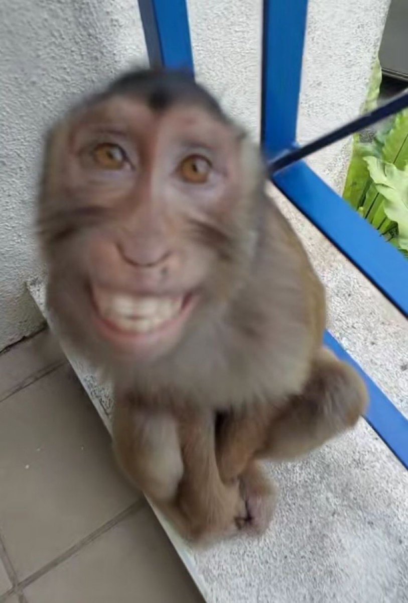 MCO.Balaam💉🧬 tweet media