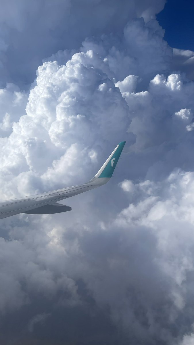 Invisible tweet media