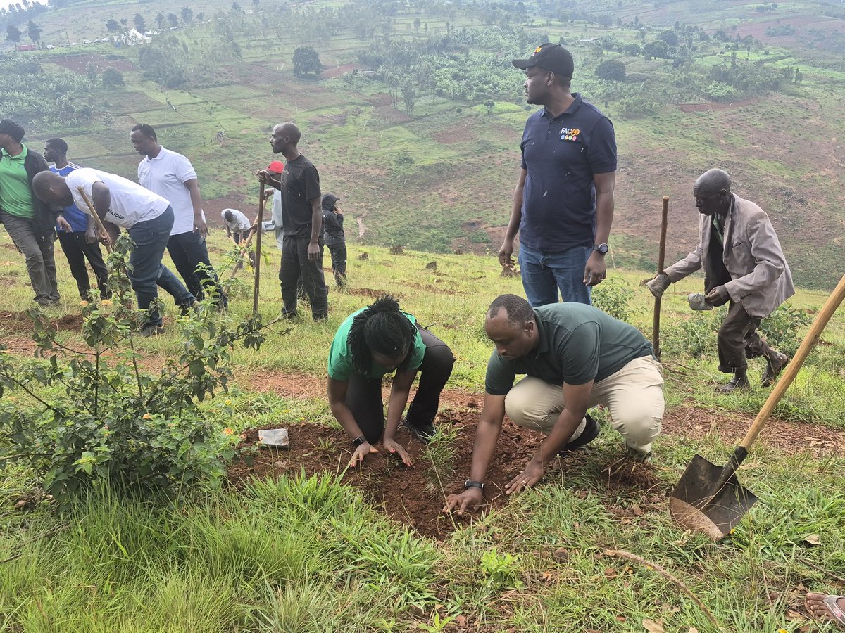 Rutunga Sector tweet media