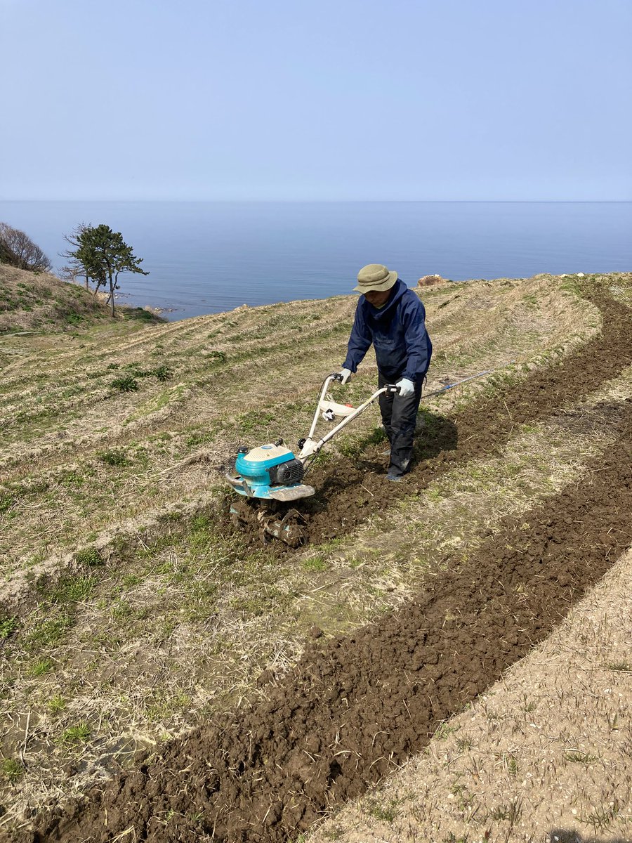 今日の白米千枚田@愛耕会 tweet media
