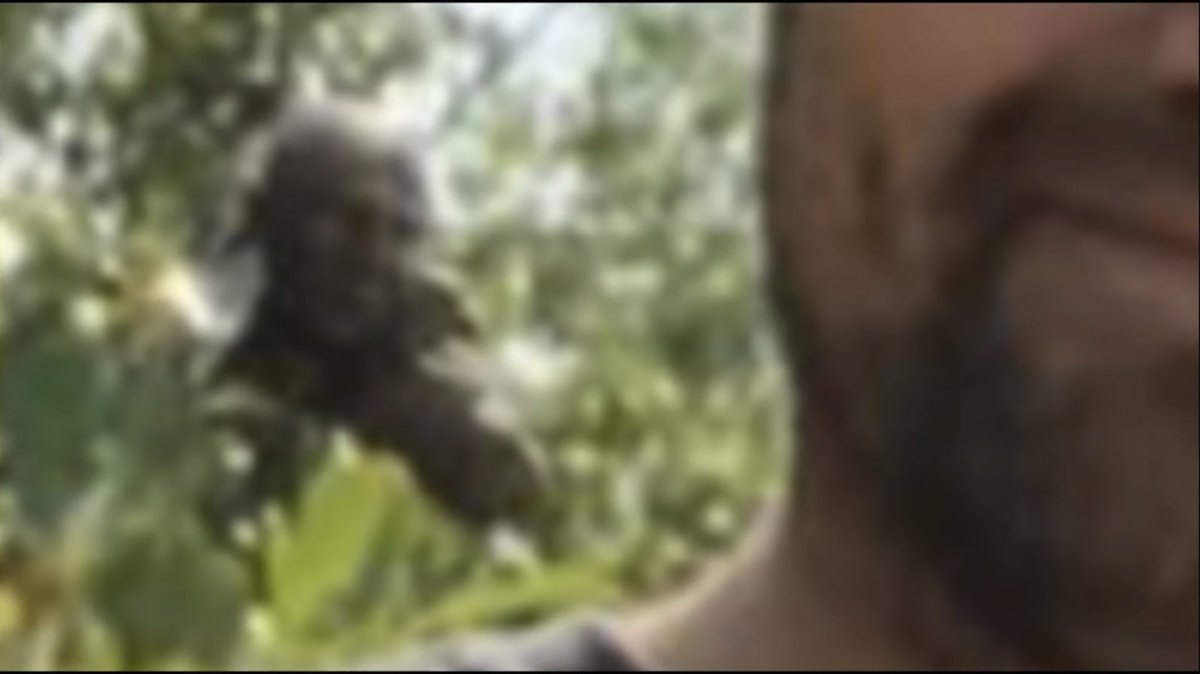 Adam Kolkowski tweet media