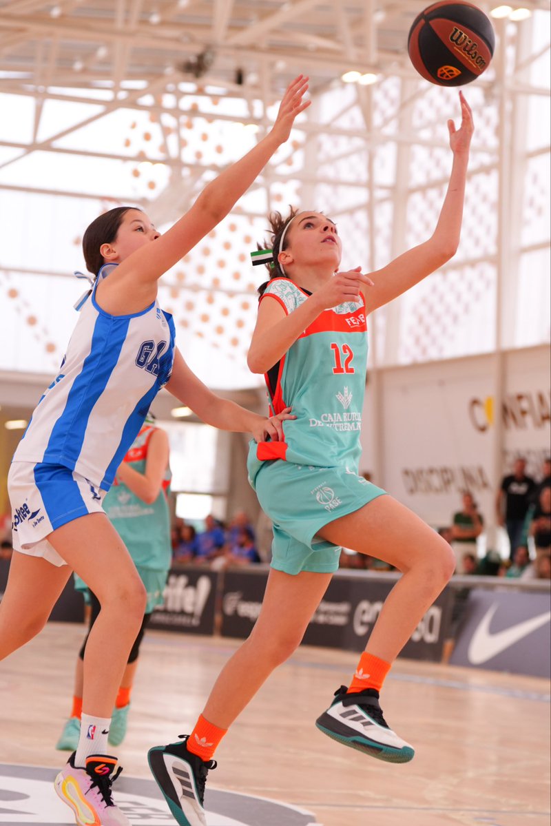 Federación Extremeña de Baloncesto tweet media