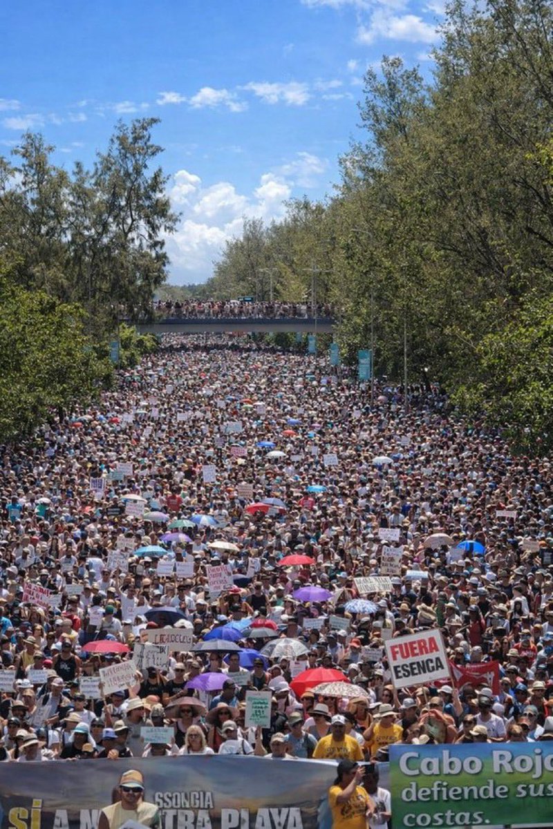 Sandrita 50k personas? Aquí una foto AI acomodando 50k personas en el espacio aproximado #Embustera #ZurdaDeMierda