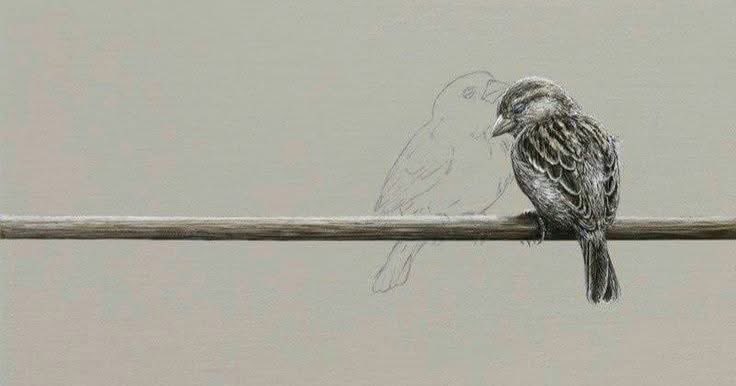 أمثال عالمية tweet media