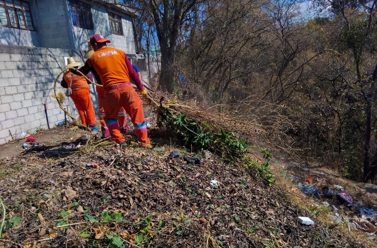 InteraccionMx tweet media