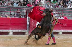 Evelyn Maria tweet media