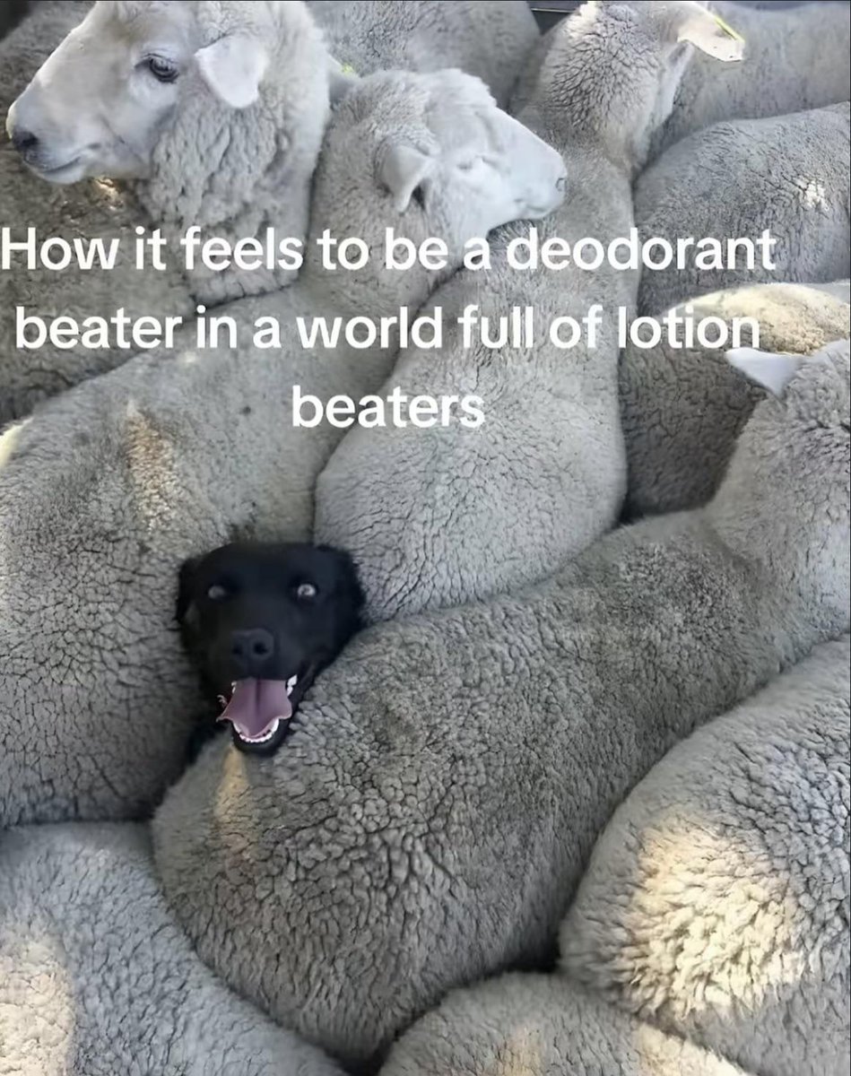 Images That Make You Feel Pain tweet media