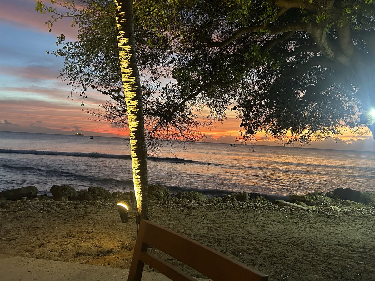 Mark_Whitworth's tweet photo. Another beautiful day in paradise in #barbados #giorange #japan https://t.co/l08MCBuANI