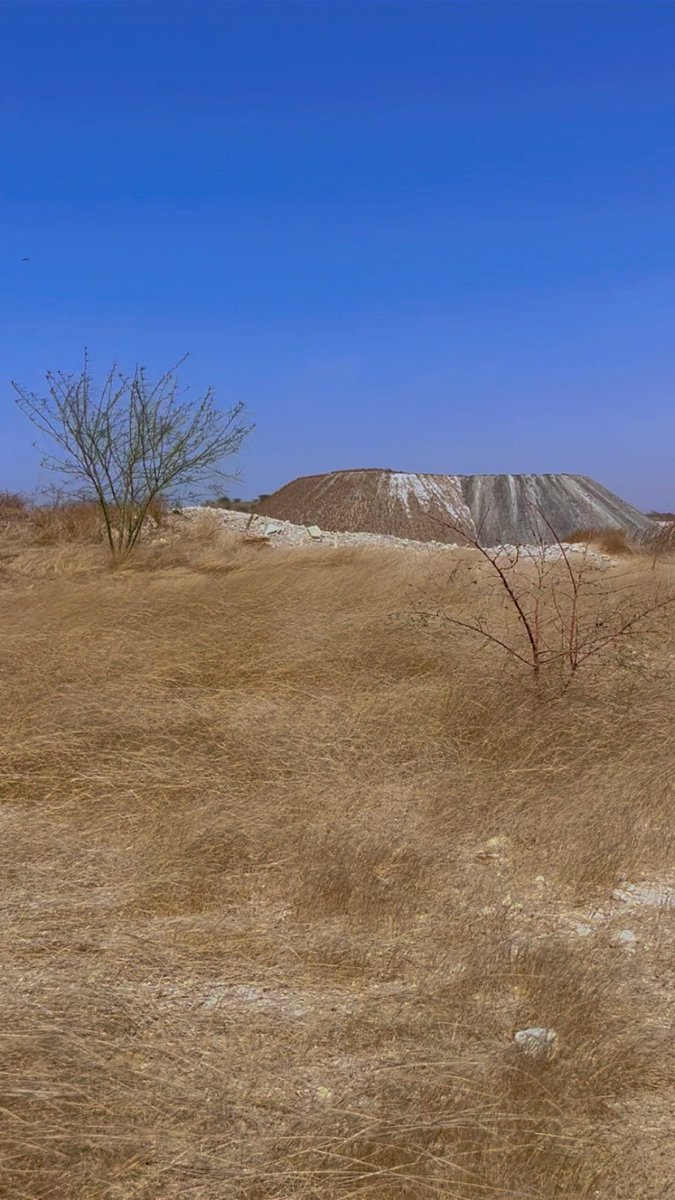 Malick Travel tweet media