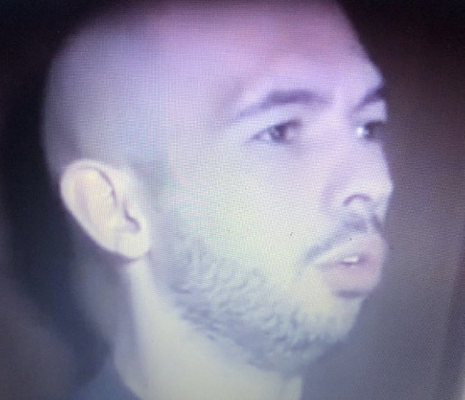 Spring E tweet media