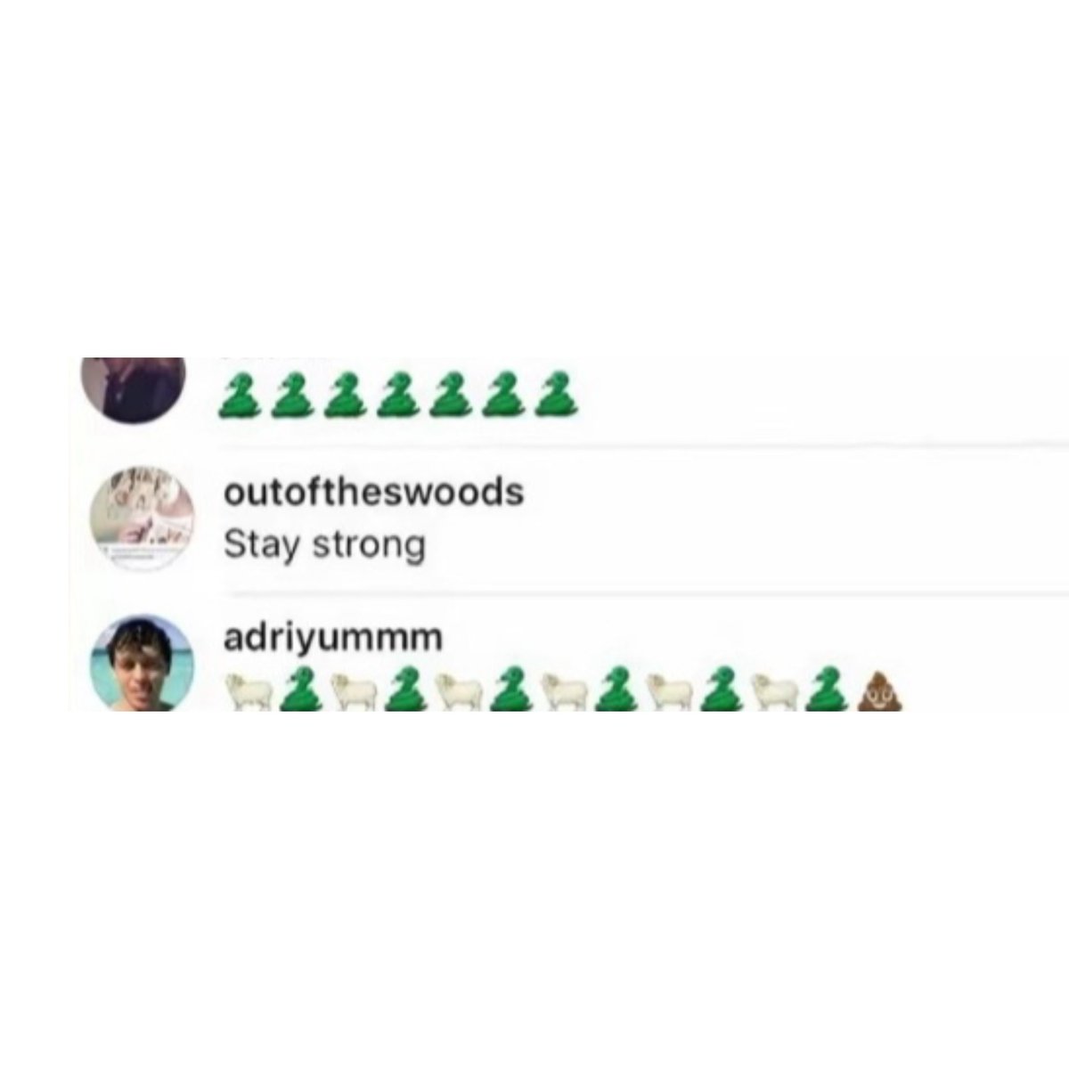 Theo 🐊 tweet media