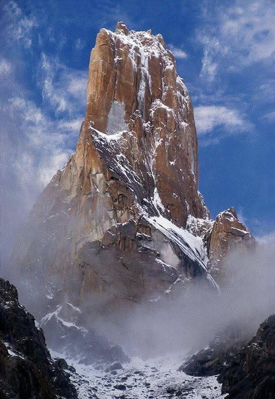 N A T U R E tweet media