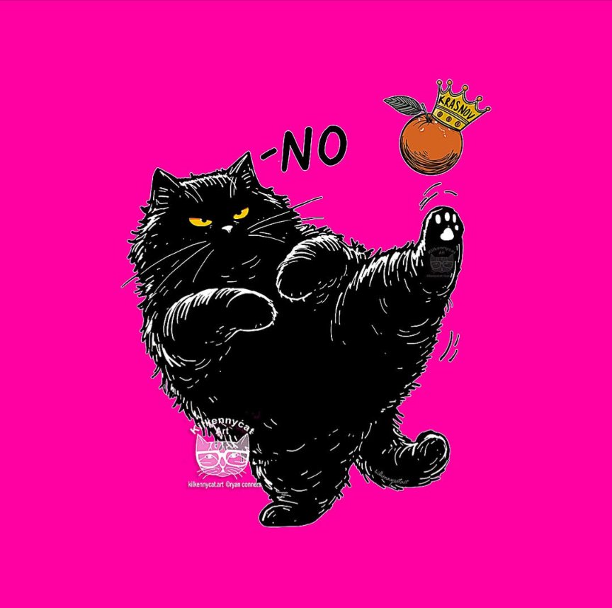 ÅñD£R§🏴‍☠️🐦‍⬛ tweet media