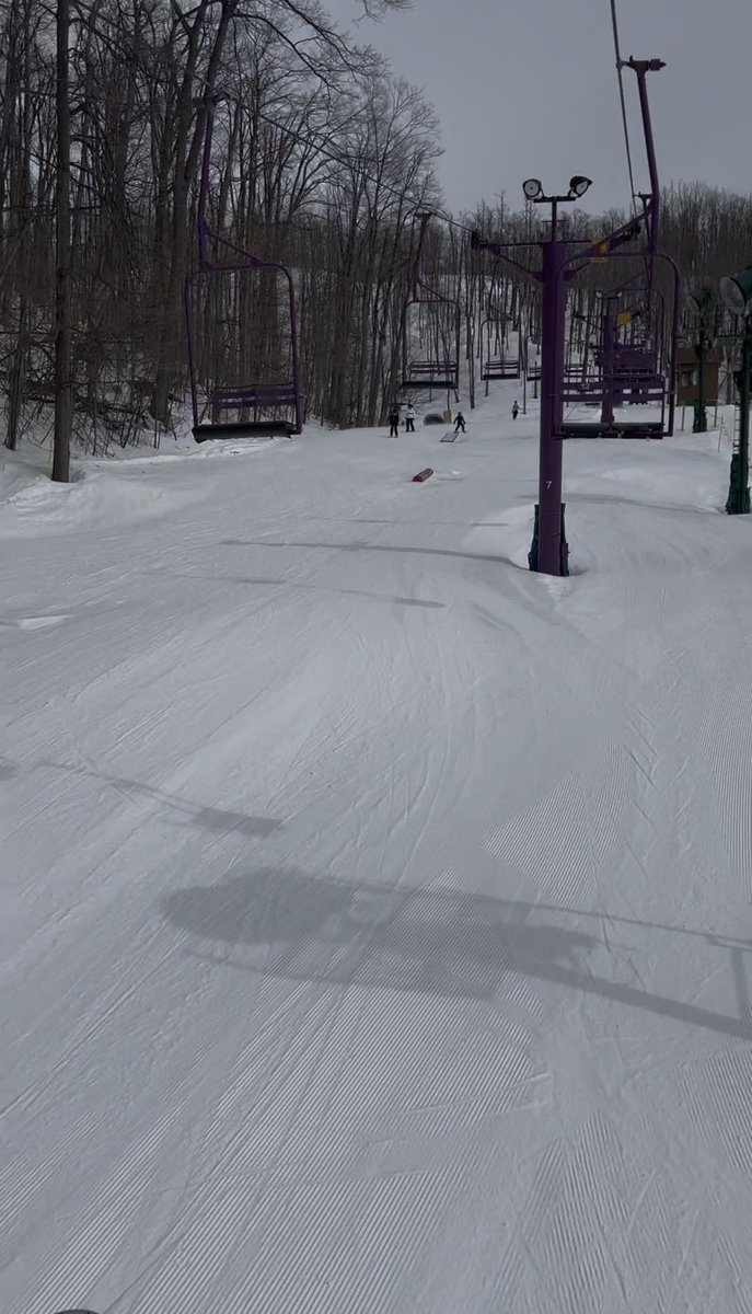 MegalodonVT | Shark Vtuber 🦈🫧💜 tweet media