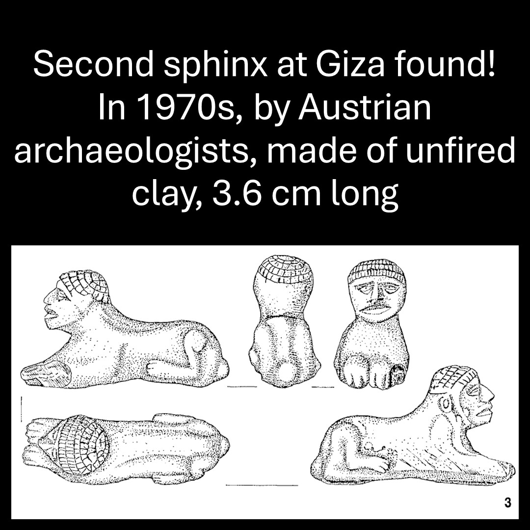 Martin Odler tweet media