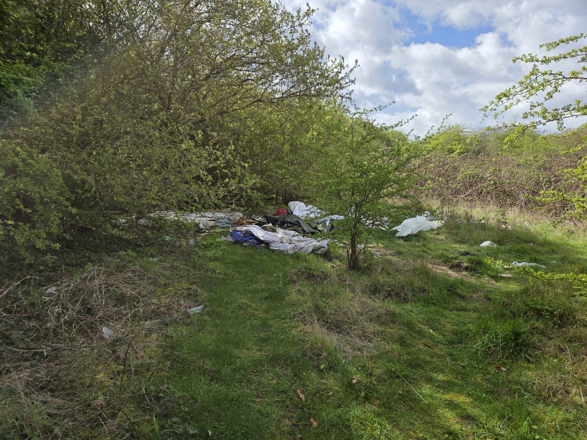 Rockin' Bantam tweet media