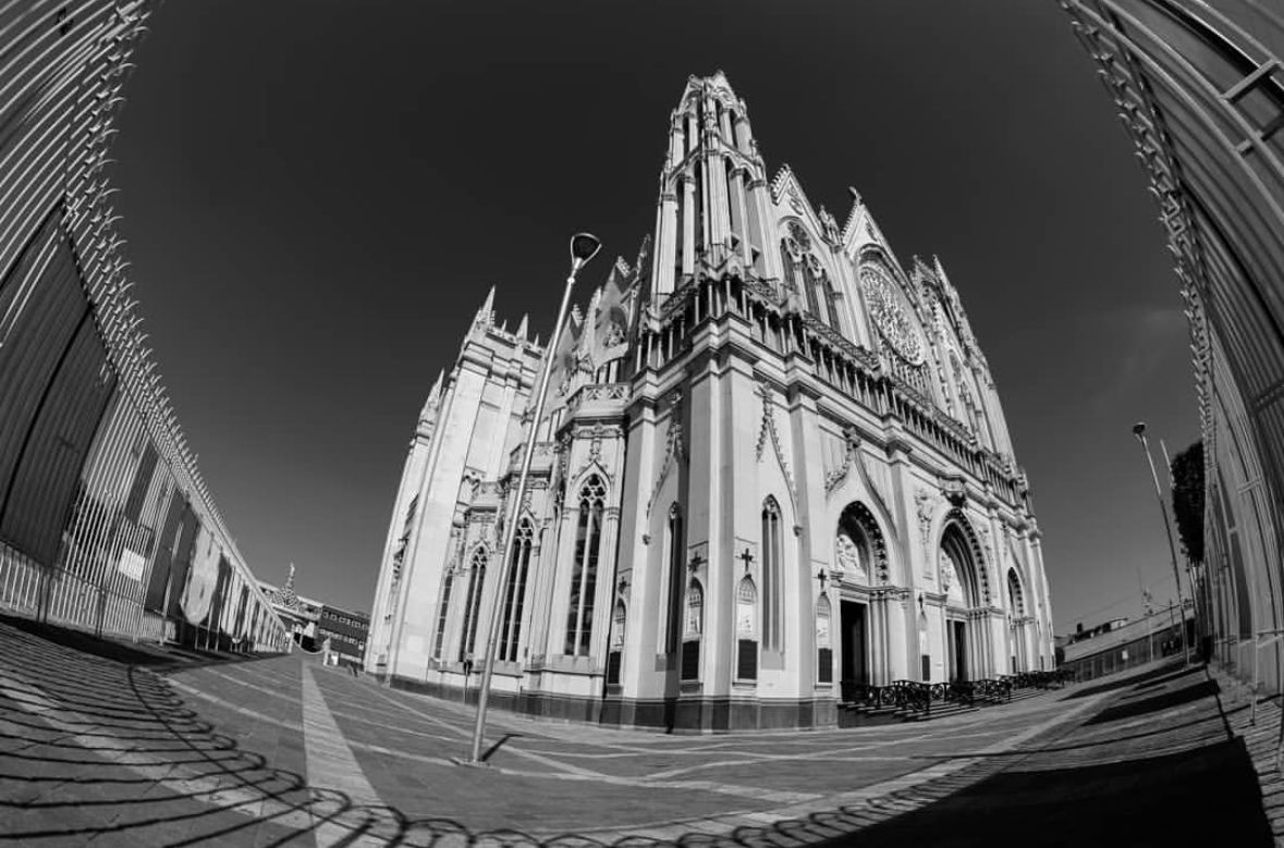 El Sol de León tweet media