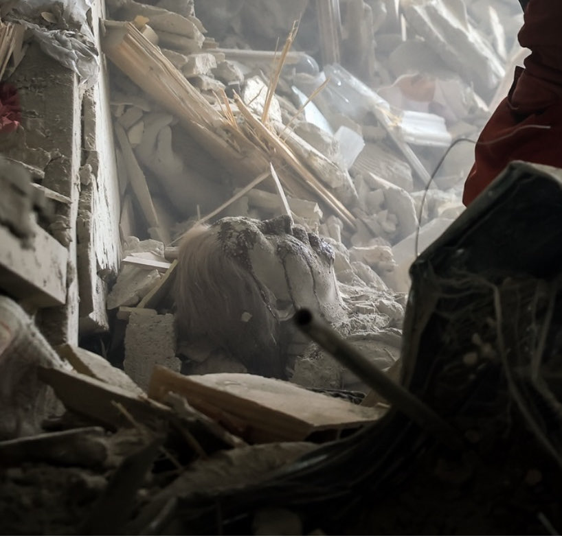 Olduzlar tweet media