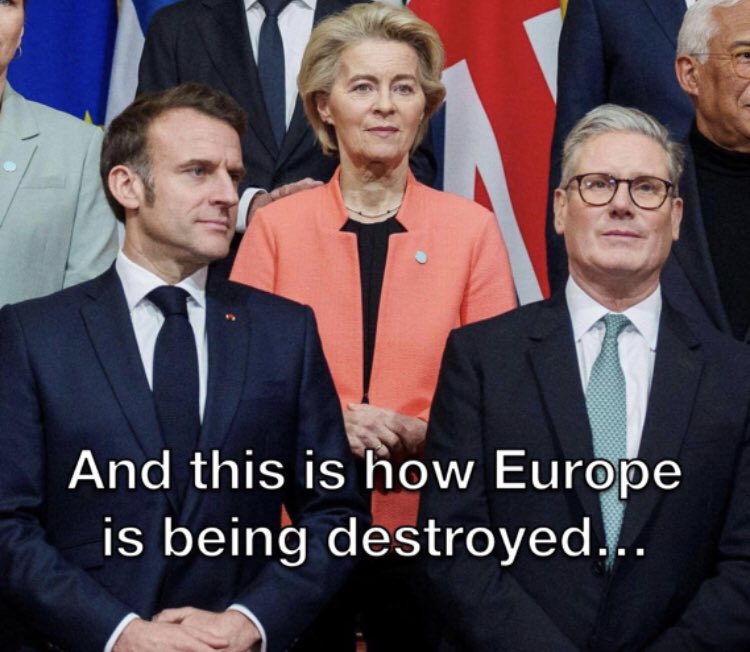 MAGA LADY 🇺🇸 tweet media