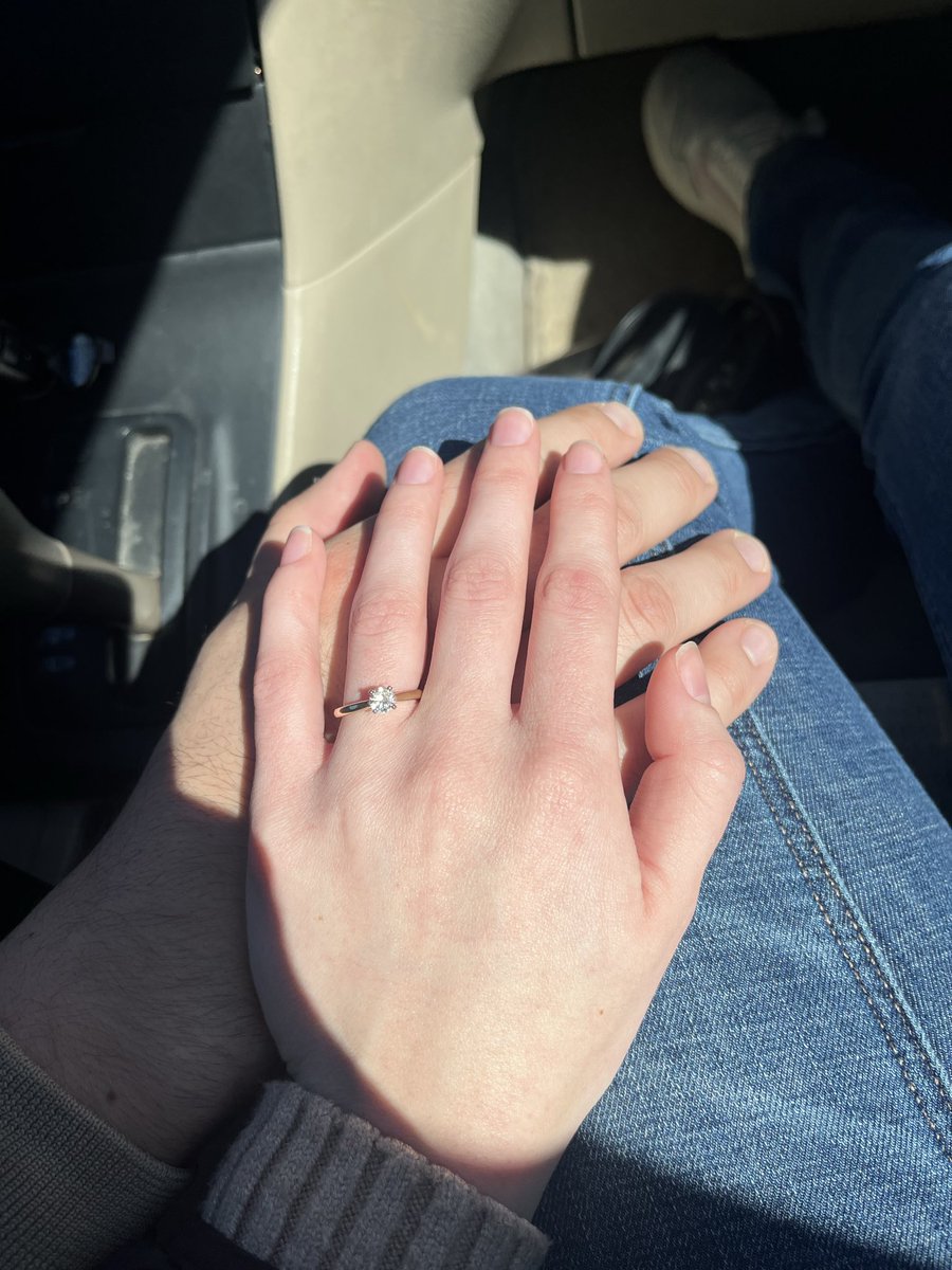 Josh🌲 tweet media