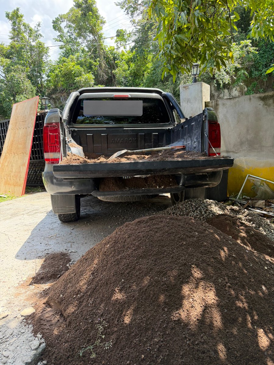 Simon Johnson tweet media