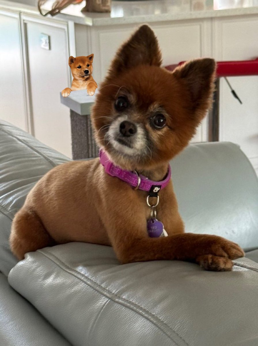 Grouchy Gamblers tweet media