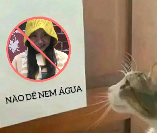 bergamota biggest fan 💗 tweet media