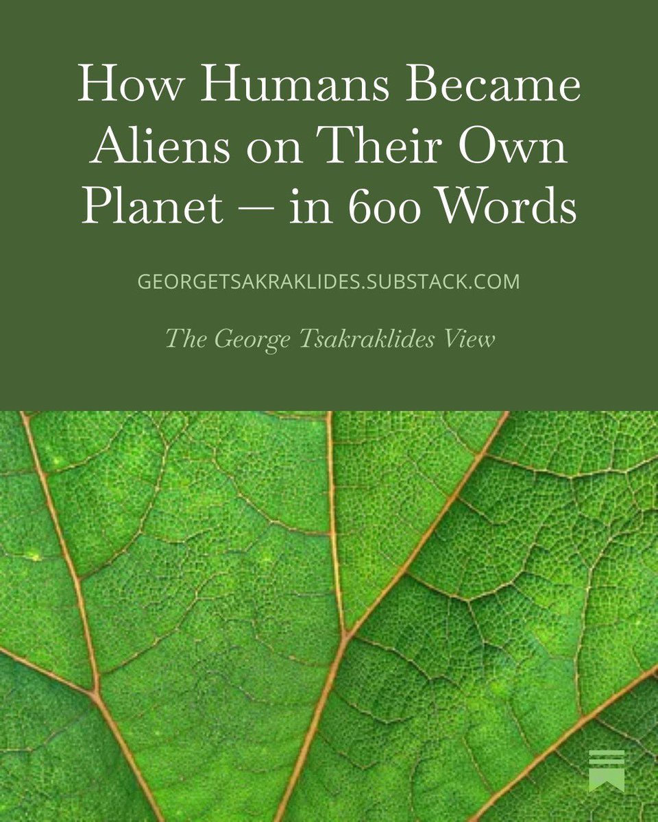 George Tsakraklides tweet media