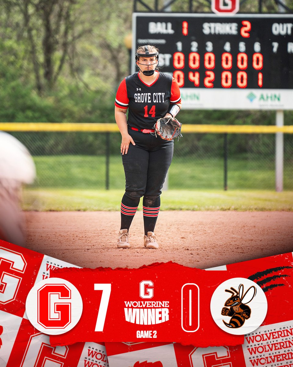 Grove City College Athletics tweet media