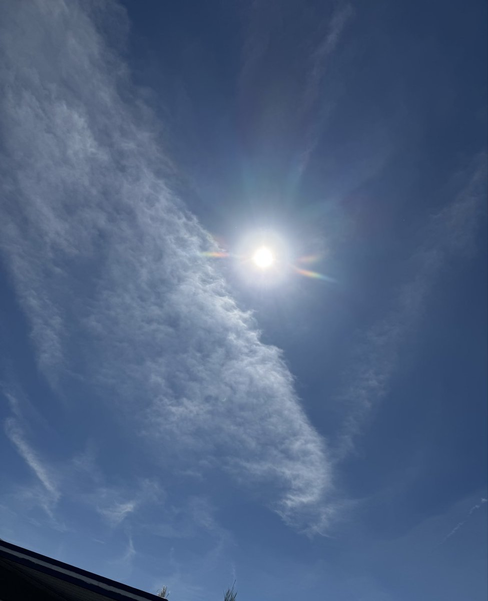 Bernadette tweet media