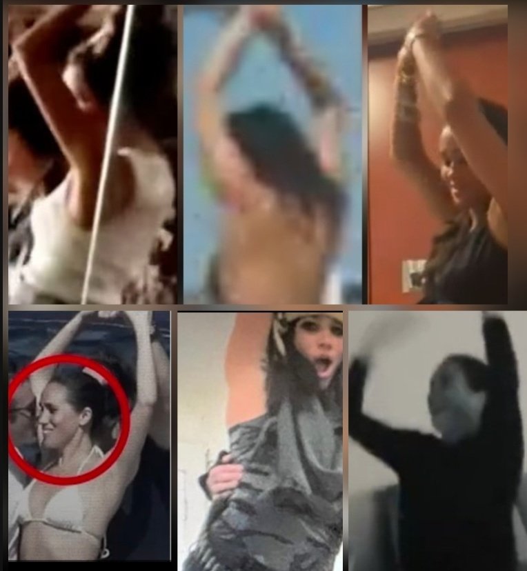 Curly Girl tweet media