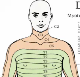 Makindo Global Medical Education App tweet media