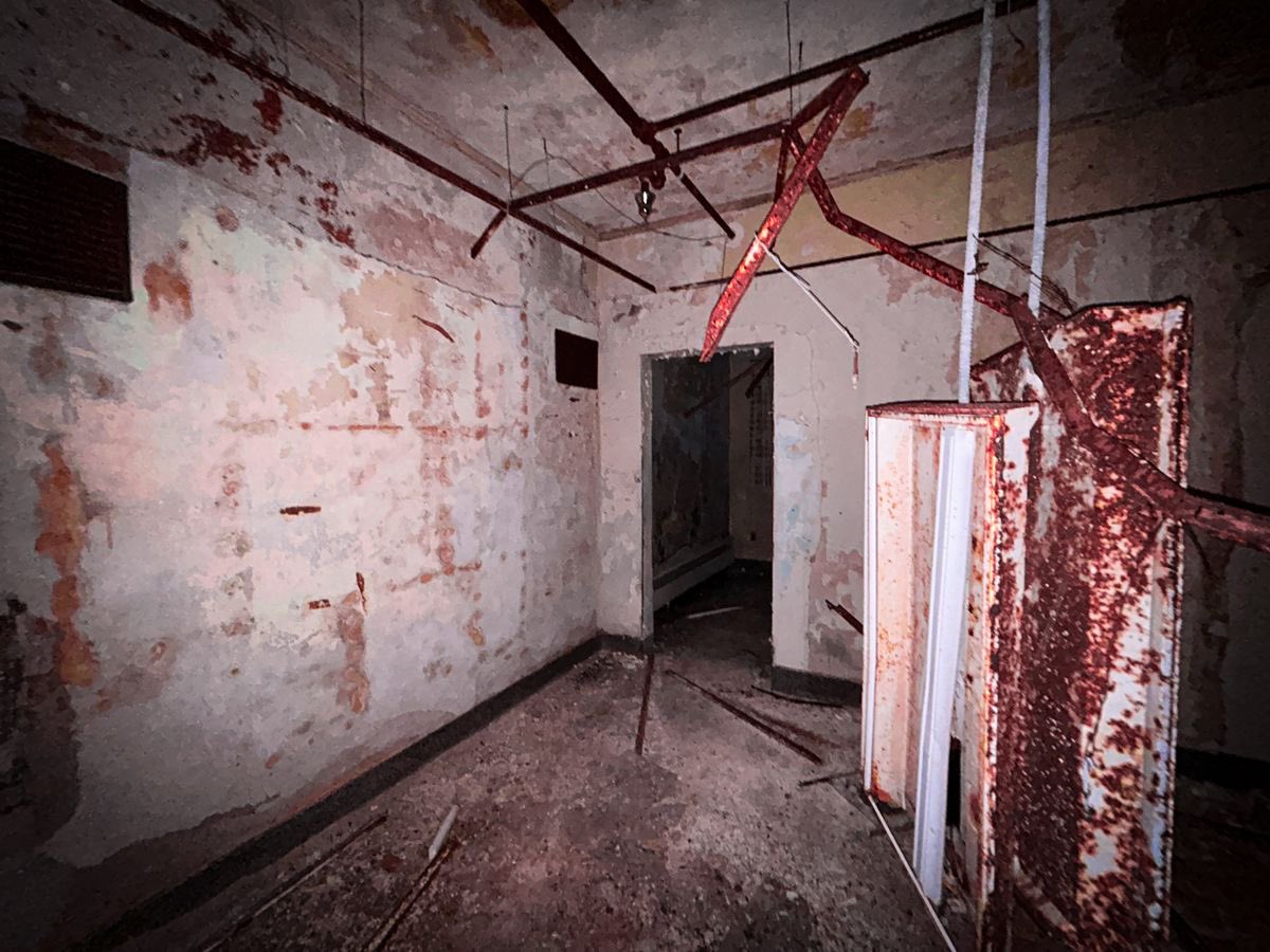 Dukez🦉 tweet media