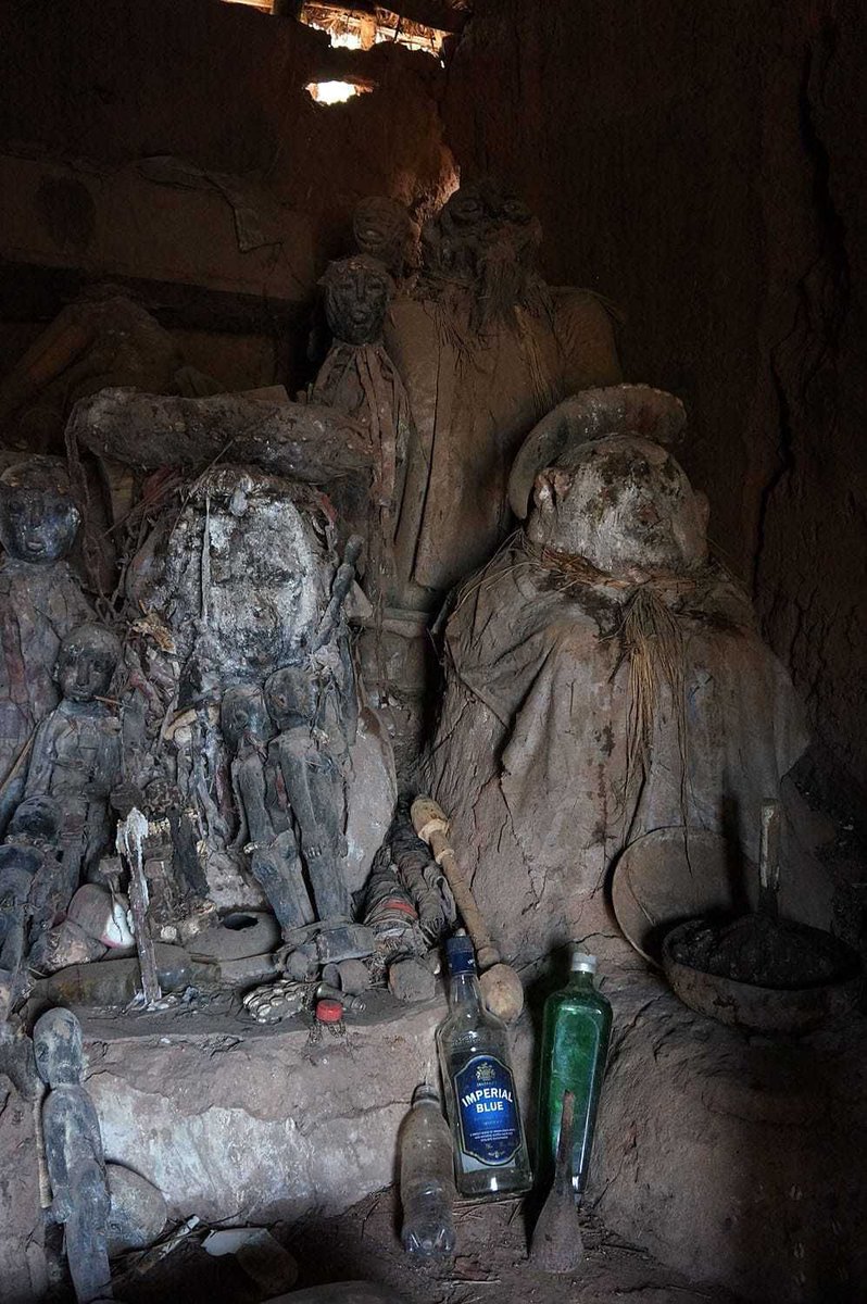 Dukez🦉 tweet media