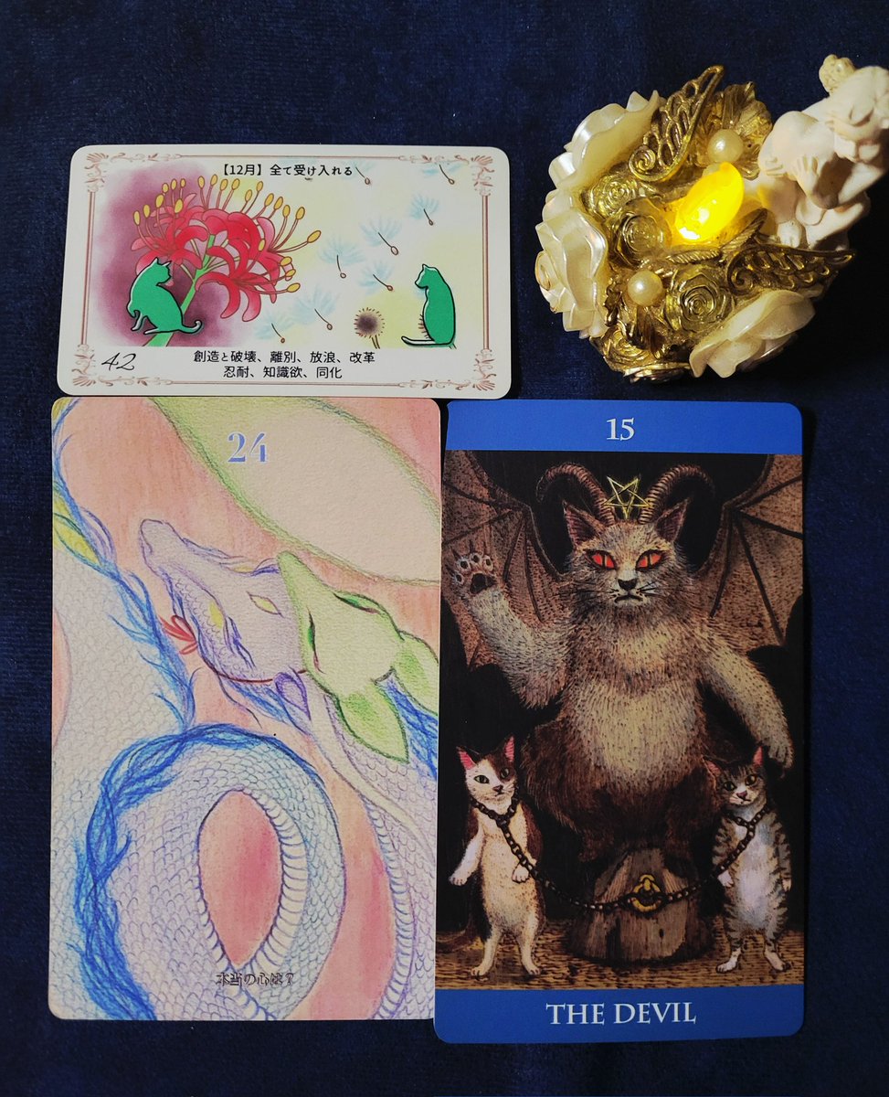 灰猫☆ココナラ占い師・エネルギーワーカー tweet media