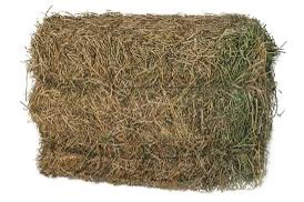 جاسم سليمان الرشيد tweet media