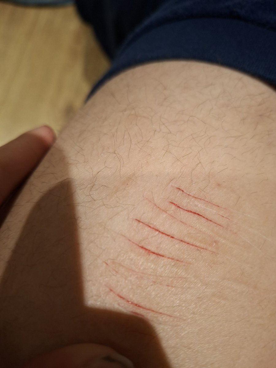 legobrick of shtwt tweet media