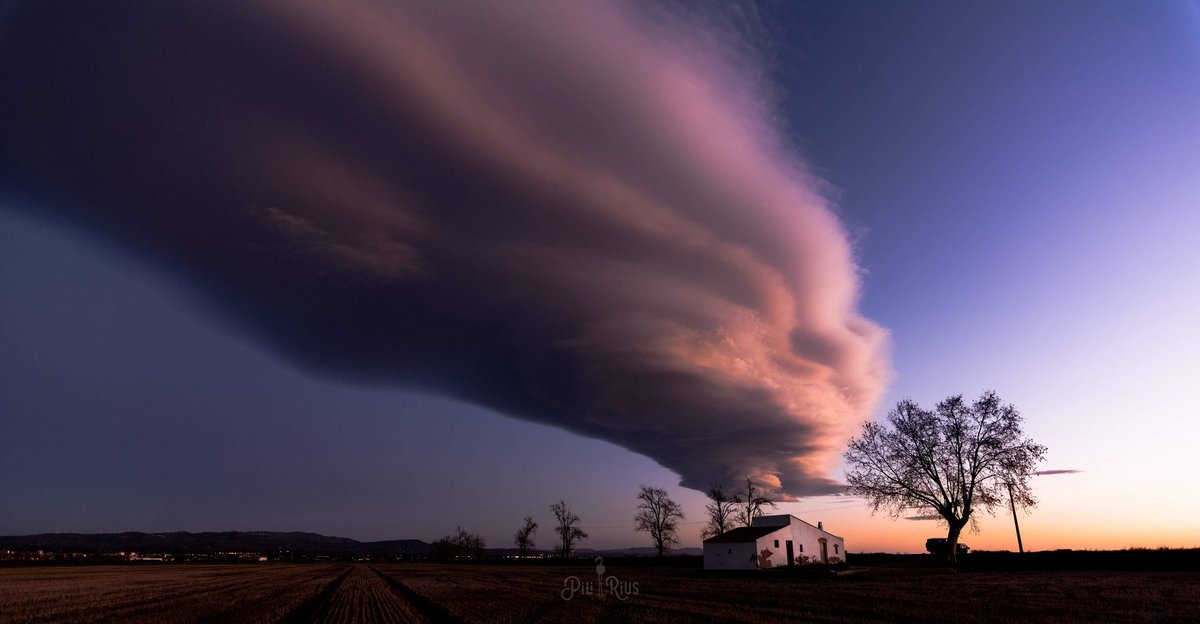 Pili Rius tweet media