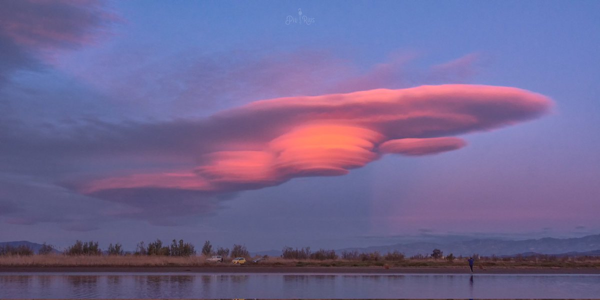 Pili Rius tweet media