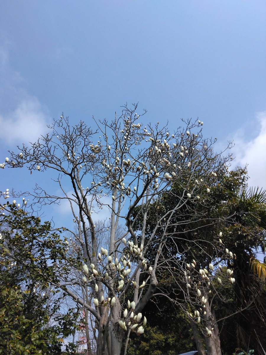 ヒーロ tweet media