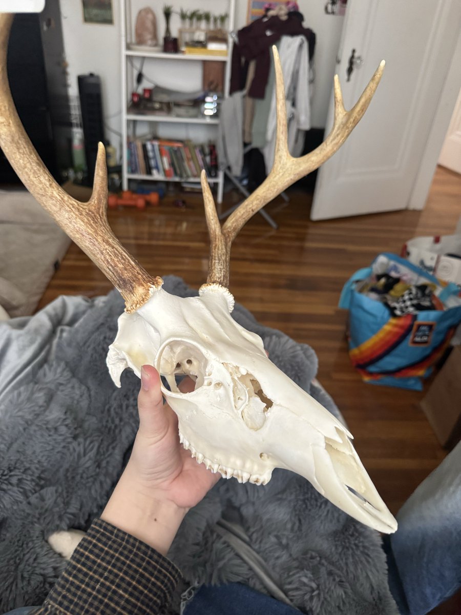 kiki lala sports fan tweet media