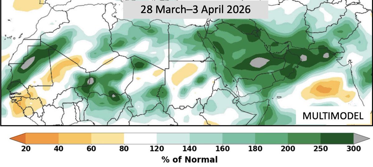 عبدالمجيد الخزيم tweet media